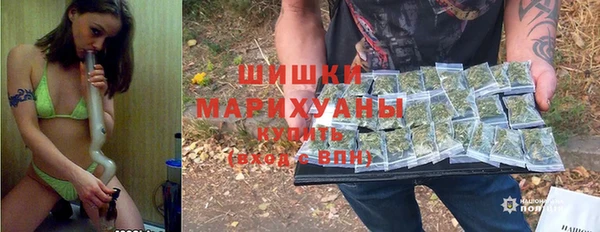 трава Беломорск